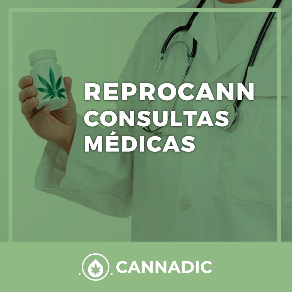 Gestión - Trámite de registro en el REPROCANN